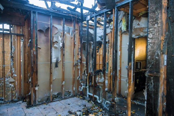 Professional Fire Damage Removal technician working in Wilkinsburg, PA